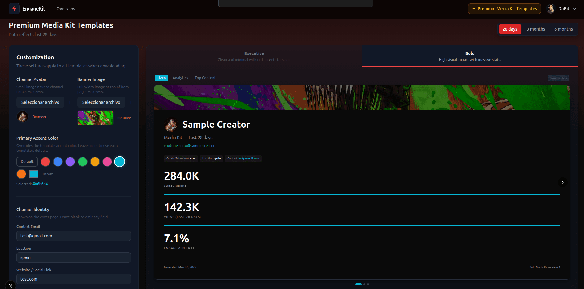 Bold premium media kit template preview
